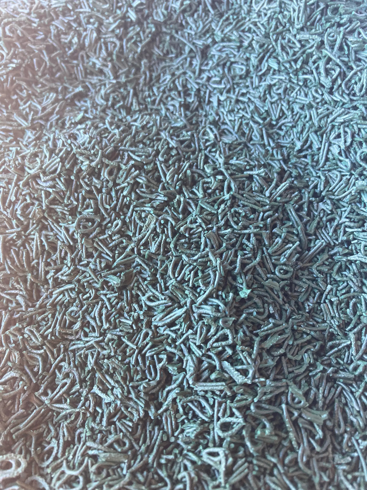 Spiruline séchée en brindilles
